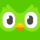 تحميل Duolingo Plus مهكر للاندرويد 2025 من ميديا فاير اخر اصدار